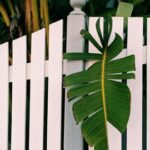 Výběr správného plotu a brány k Vašemu domovu